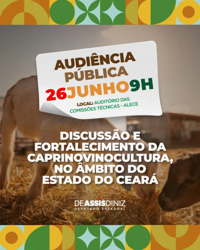 4f804a20-965a-4a03-8a1e-ae725484a4e6_11zon